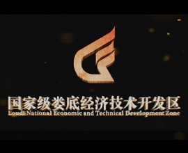 娄底国家经济开发区影视宣传片顺利交片
