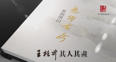 王桂升其人其画记录片