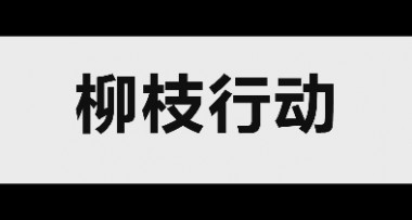 柳枝行动平台发布宣传片