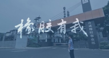 巴陵石化-橡胶有我MV